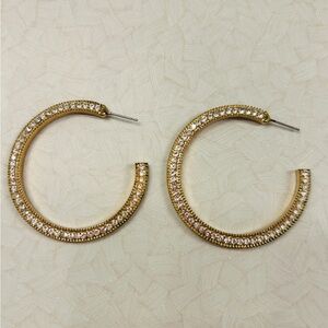 Elegant Gold Hoop Earrings